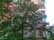 小区中心位置,中式风格,主卧朝南,采光充足