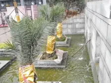 南城国际 3室1厅 南 北