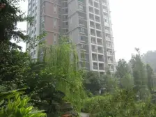 盛世年华 1室1厅 西