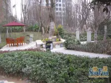 看中庭,朝南,户型方正,小区环境好。