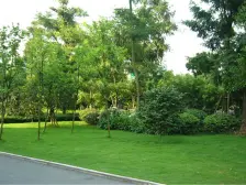 此房满两年,业主诚心出售,采光充足,户型方正