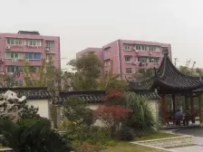 浦东新区金桥金藤苑3室1厅