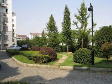 苏州大学·庄先湾散盘·2室·1厅