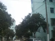 金杨新村四街坊 1室1厅 东南 南