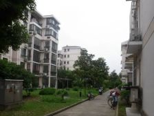 阁楼巨大储物空间,亦能睡人,不靠马路大两房,学/区未用