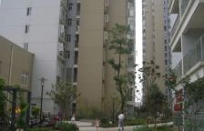 紫东梵谷 2室1厅 南 北