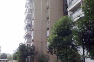 紫东梵谷 2室1厅 东南