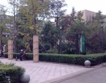 紫东梵谷 3室2厅 东南