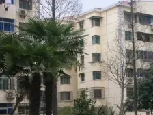 小区后排位置,中间楼层,出门双轨交,交通便利,对面泾南公园