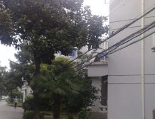 心跳的价格,周边低楼层必看的两房,文峰旁边