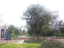 通风好 采光好,产权清晰 新上房源