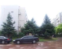 无抵押,产权清晰,精装,新上房源