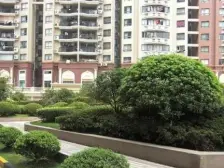 二梯四户,景观房,非底楼房,中式风格,税费各付