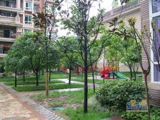 奥园康城C区 4室1厅 西南