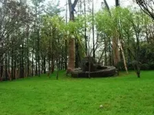 180°揽景湖山 大联排端户 中.央公园 轨道9号线 数8