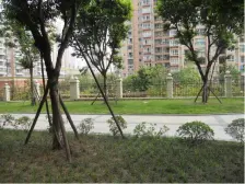轻轨旁 业主诚心出售 看房方便