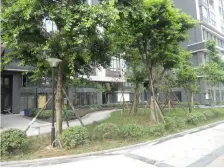 步行街 秋实大厦三房