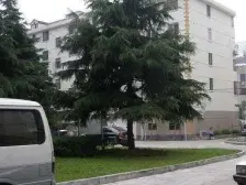 四川北路·虹叶花苑·3室·2厅