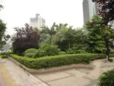 加州新牌坊精装一室一套拎包入住临红旗河沟财富中心观音桥