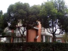 纯独栋高档别墅区+位置好+停车位充足+业主随时可签