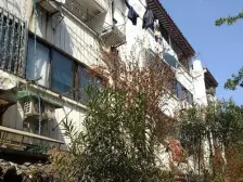 东中市 景范共享 两房朝南 低楼层 户型方正 采光好