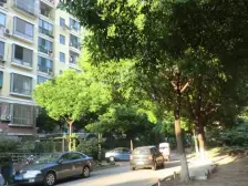 动静分区,南北通,大三房,看房随时