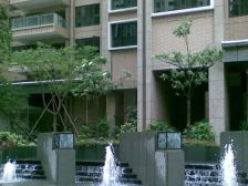 汇峰苑 南向三房 中区 保养好 价格可谈
