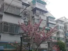 婚房豪h装修+露台+南北通+全明+单边售卖