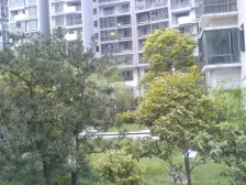 近地铁 无抵押 毛坯 电梯房 新上房源