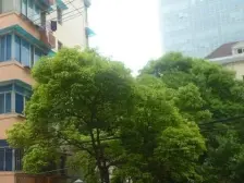 紧靠苏州河,公园旁,地铁口,电梯房,高楼层
