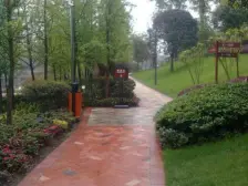 陈家坪 石油小区陈家坪二房32.3万