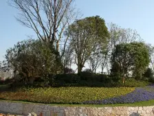 瑶湖西地铁口 凡尔赛宫大三房 两房朝南 一梯一户