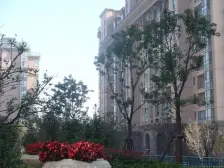 川沙·东方城市绿洲·2室·2厅