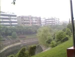 三倒拐街12号 2室1厅 东