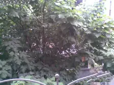 大溪沟 静园小区三房100万