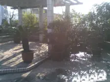 大溪沟 静园小区一房30.9万