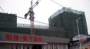 凯信双子国际1室1厅西南