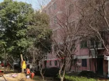 东环·东环路223号·2室·1厅