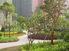 急卖!高层望江单位 瑞安公寓 刚需小户型