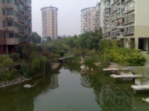 青园梓枫+中雅培粹,白沙世纪,区政府单位房,六层高