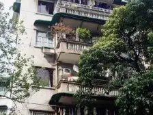 网红惠吉西社区 独栋别墅 框架结构 内部天井可加电梯