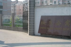 城东公寓3室2厅南