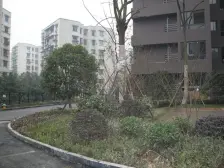 九滨路旁 万象城商圈临近谢家湾双轻轨 大鼎精装三室