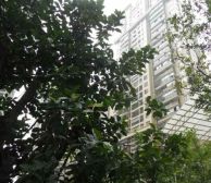 瑞升望江橡树林二期 3室1厅 北