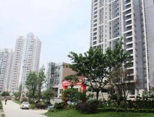 我的大学1室0厅东南