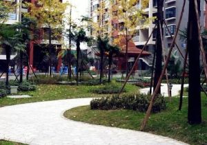 维港3室1厅南