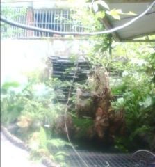 顺心苑 3室1厅 东南