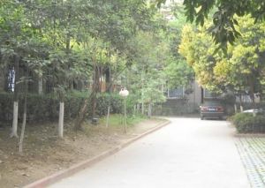 顺心苑 2室1厅 西南