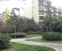 红光苑(郫都) 2室1厅 东南