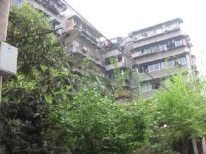 同善桥横街9号2室1厅西南